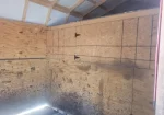 10 x 20 Horse Barn