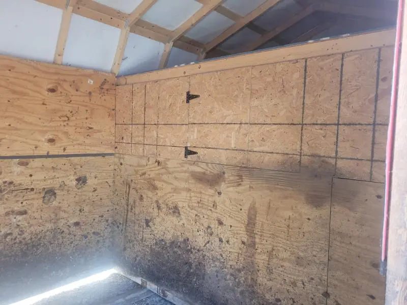 10 x 20 Horse Barn