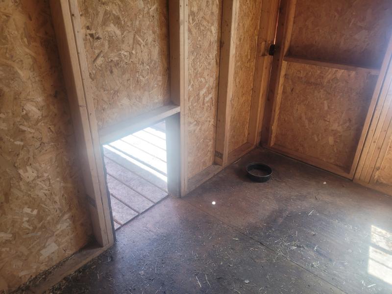 10×16 dog kennel