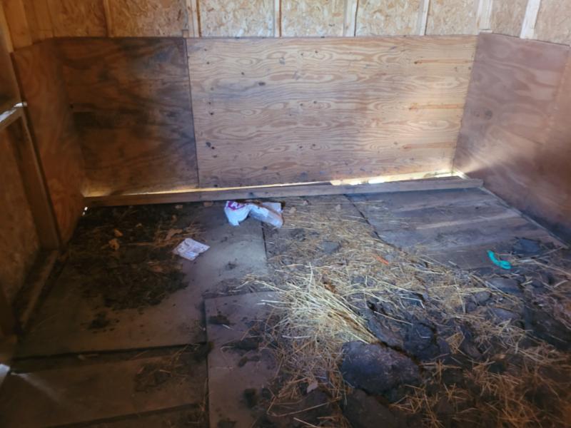 12×28 horse barn
