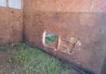 10×28 horse barn
