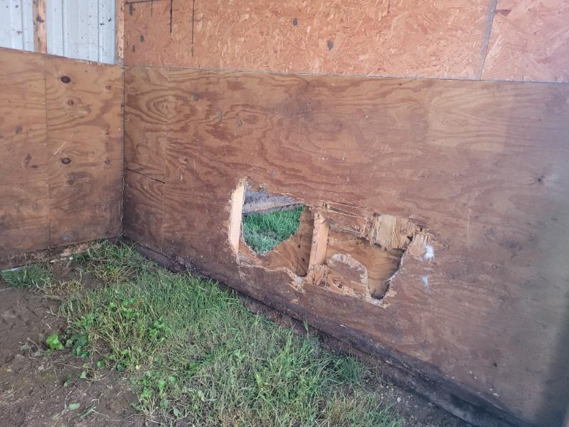 10×28 horse barn