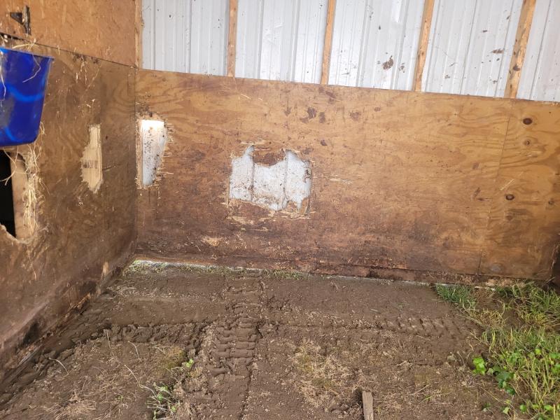 10×28 horse barn