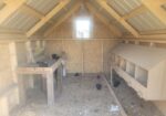 8×12 Chick Coop