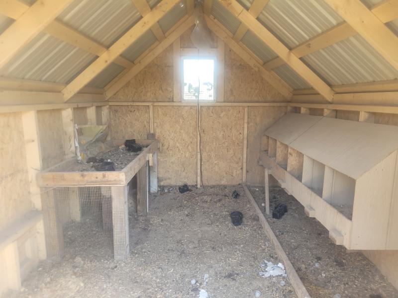 8×12 Chick Coop
