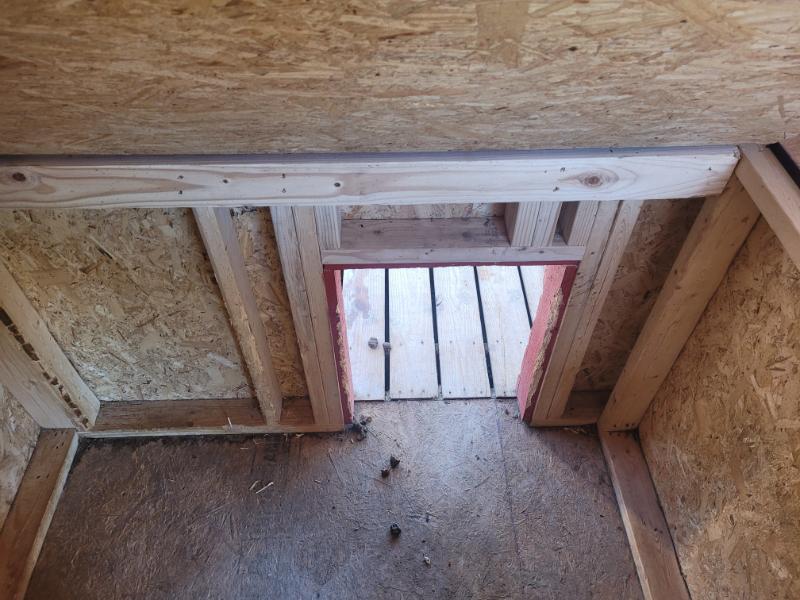 10×16 Dog Kennel
