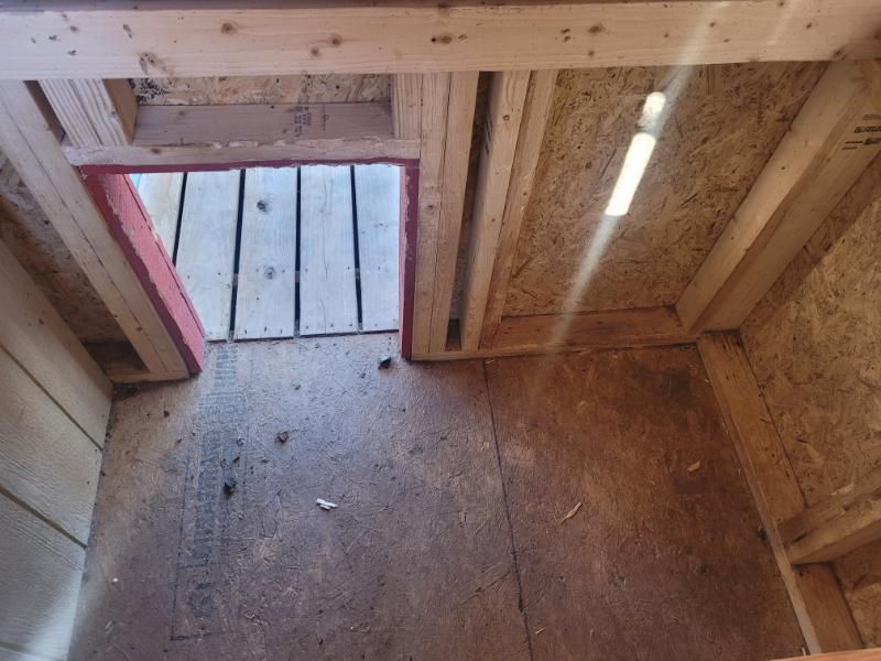 10×16 Dog Kennel