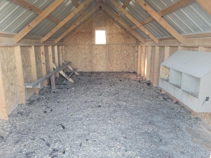 10×20 Chicken Coop