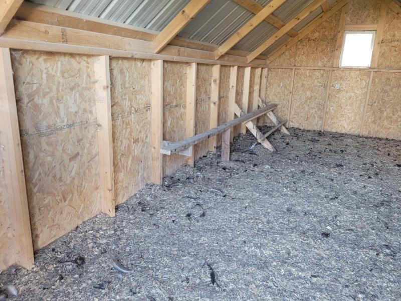 10×20 Chicken Coop