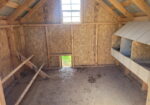 8×8 Chicken Coop